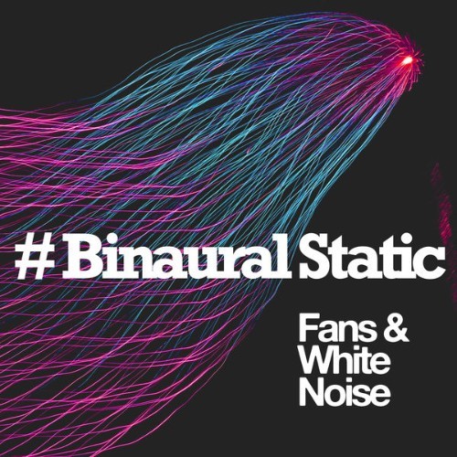 Fans & White Noise - # Binaural Static - 2019