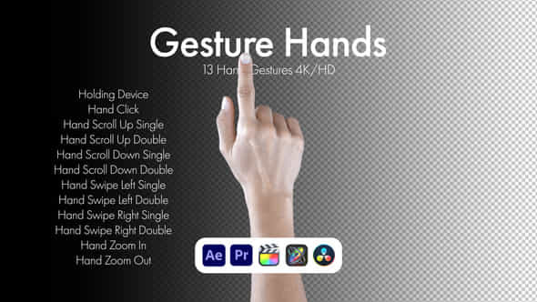 Gestures Hands - VideoHive 50810030