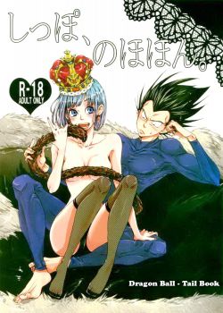 dragon-ball-tail-book-2da-parte