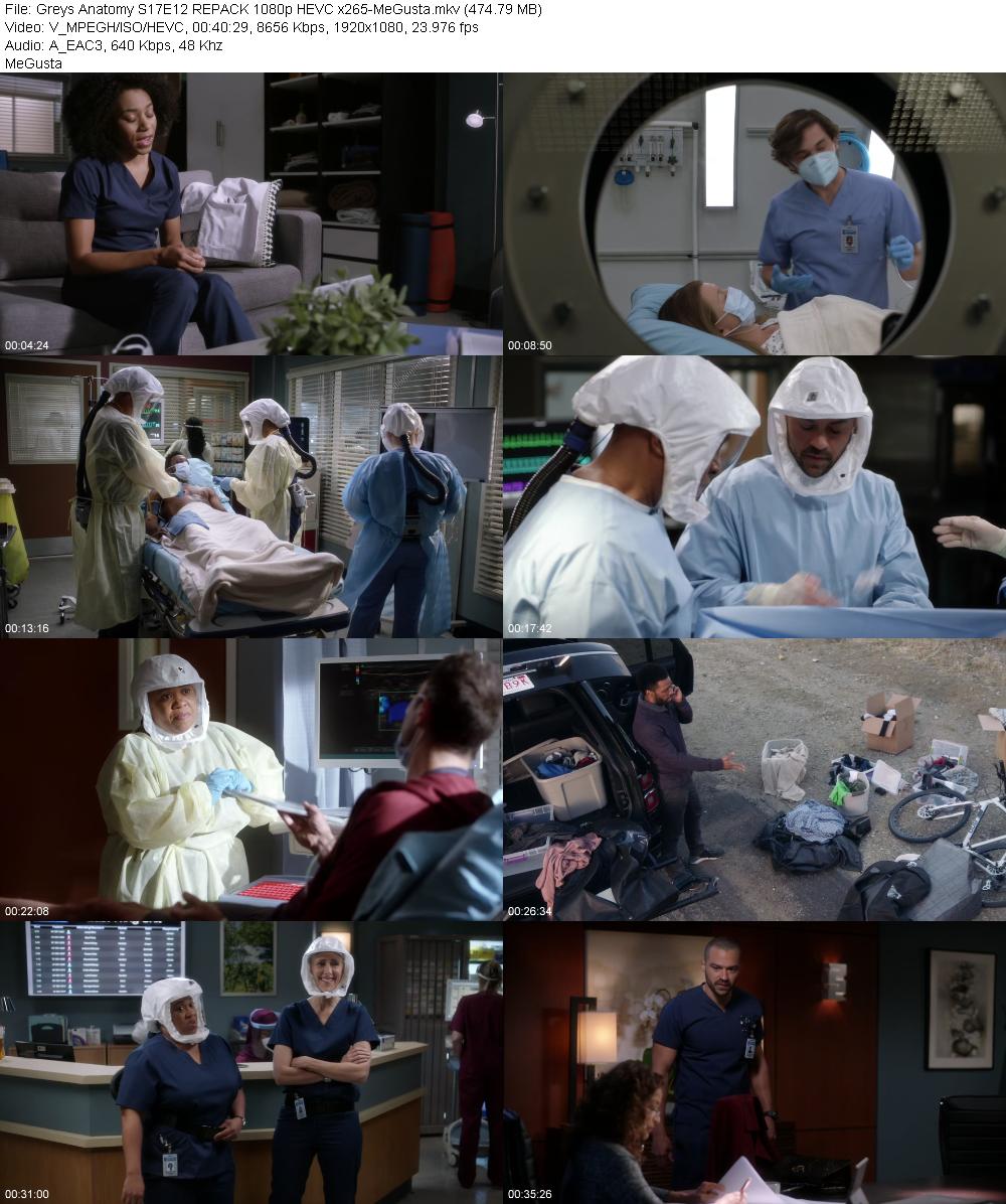 Greys Anatomy S17E12 REPACK 1080p HEVC x265