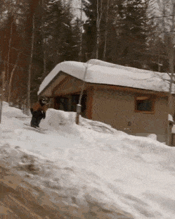VARIOUS INCREDIBLE GIFS..8 Y7DFFnCl_o