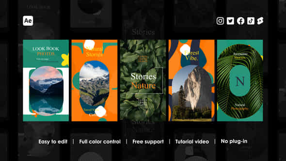 Album Instagram Reels - VideoHive 48802586