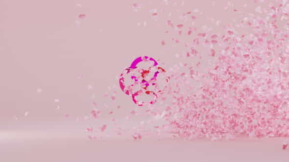 Petals Logo Reveal - VideoHive 35880237