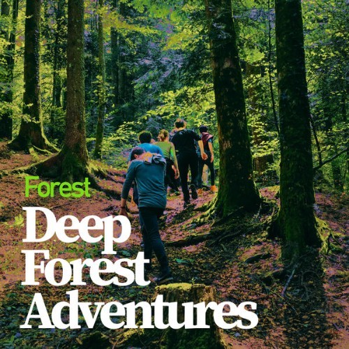 Forest - Deep Forest Adventures - 2019