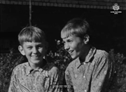 https//images2.imgbox.com/ca/16/ayZalTis_o.png