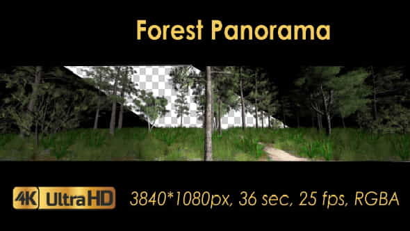 Forest 3D Panoramic Animation - VideoHive 20817273