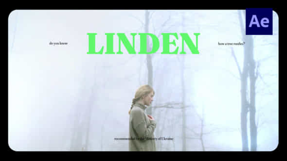 Cinematic Vibes Typography Ae - VideoHive 54756587