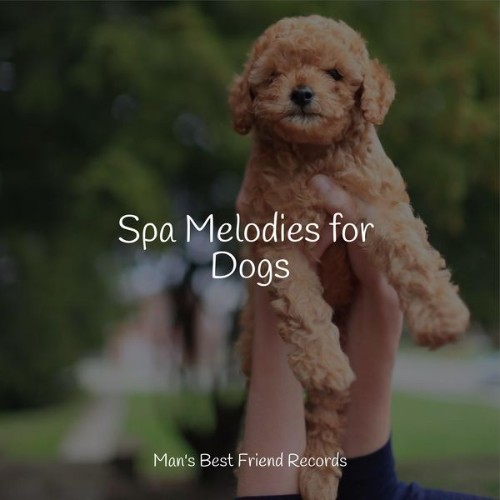 Jazz Music for Dogs - Spa Melodies for Dogs - 2022
