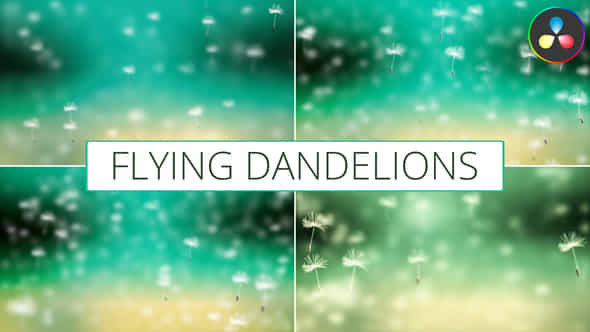 Flying Dandelions For Davinci Resolve - VideoHive 52469826