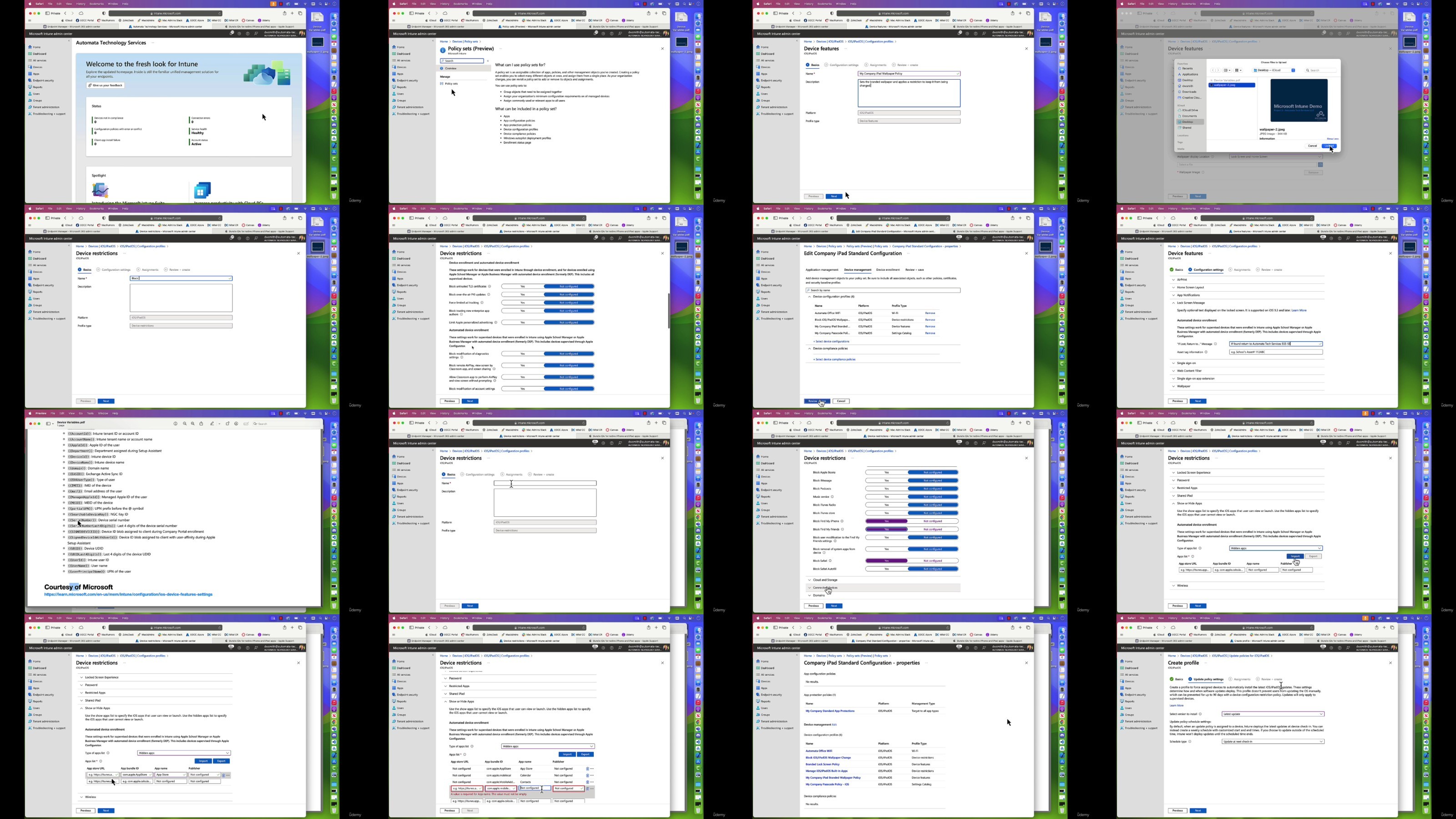 https://images2.imgbox.com/ca/dc/CjPuAmex_o.jpg