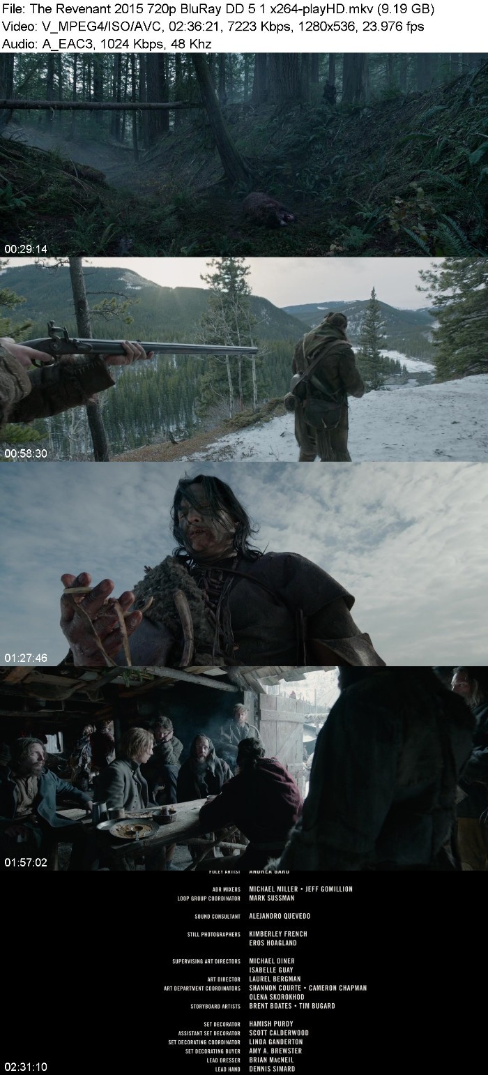 The Revenant (2015) 720p BluRay DD 5 1 x264-playHD JoeeorrU_o