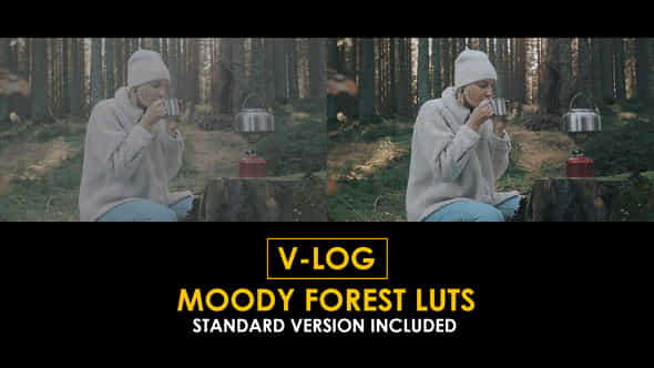 Vlog Moody Forest And Standard Luts - VideoHive 51434610