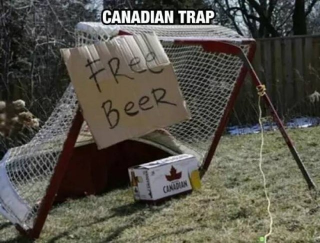 ONLY IN CANADA Ty502dch_o
