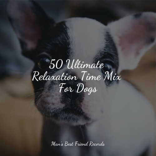 Dog Music - 50 Ultimate Relaxation Time Mix For Dogs - 2022