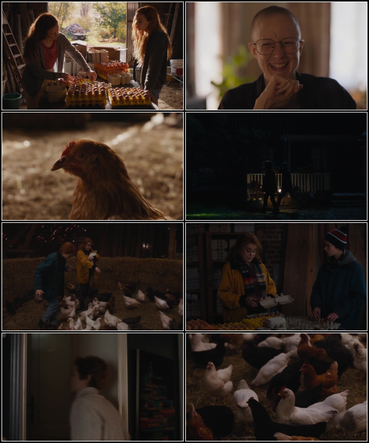 Funny Birds (2024) [MULTI] 720p WEBRip x264 AAC-YTS Pld6K4YU_o