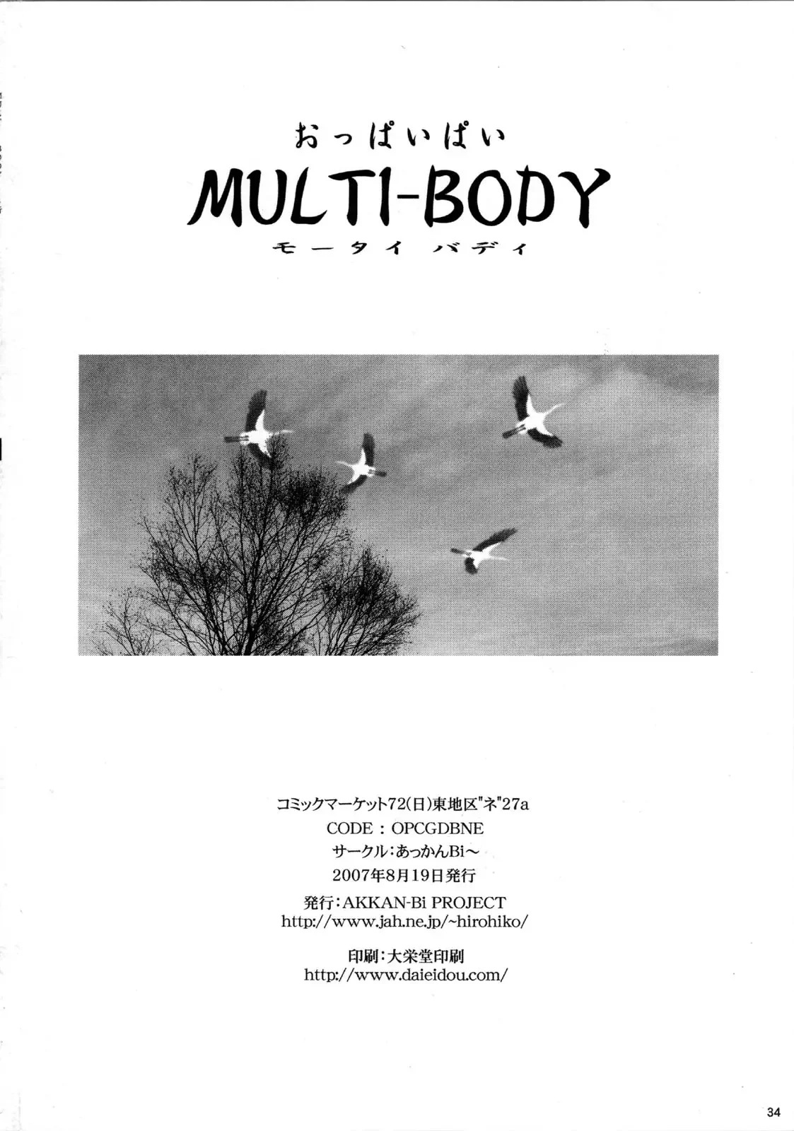 MULTYBODY - 31