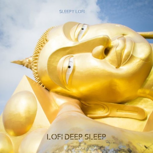 Lofi Deep Sleep - Sleepy Lofi - 2021
