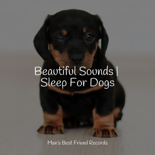 Relaxmydog - Beautiful Sounds  Sleep For Dogs - 2022