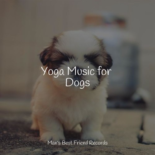 Music for Dog's Ear - Yoga Music for Dogs - 2022