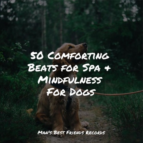 Music For Dogs - 50 Comforting Beats for Spa & Mindfulness For Dogs - 2022