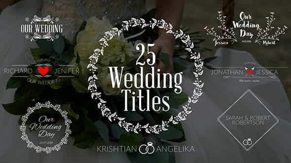 Wedding Titles - VideoHive 19761639