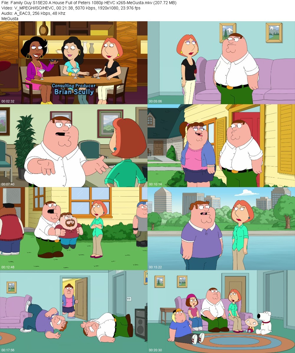 Family Guy S15E20 A House Full of Peters 1080p HEVC x265-MeGusta