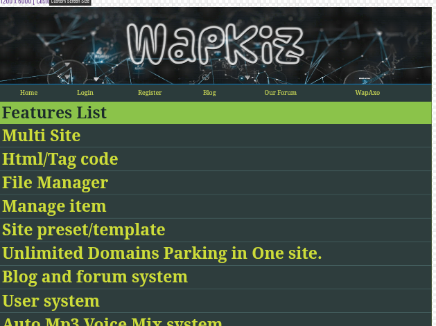 Beginner's Guide: The 3 Essential First Steps After Creating Your Site on Wapkiz and Wapaxo