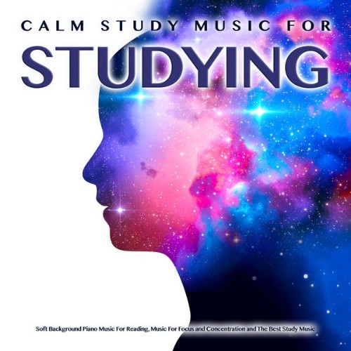 Studying Music - Calm Study Music For Studying Soft Background Piano Music For Reading, Music For...