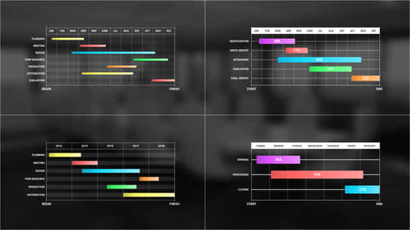 Gantt Chart Infographic - VideoHive 41751119