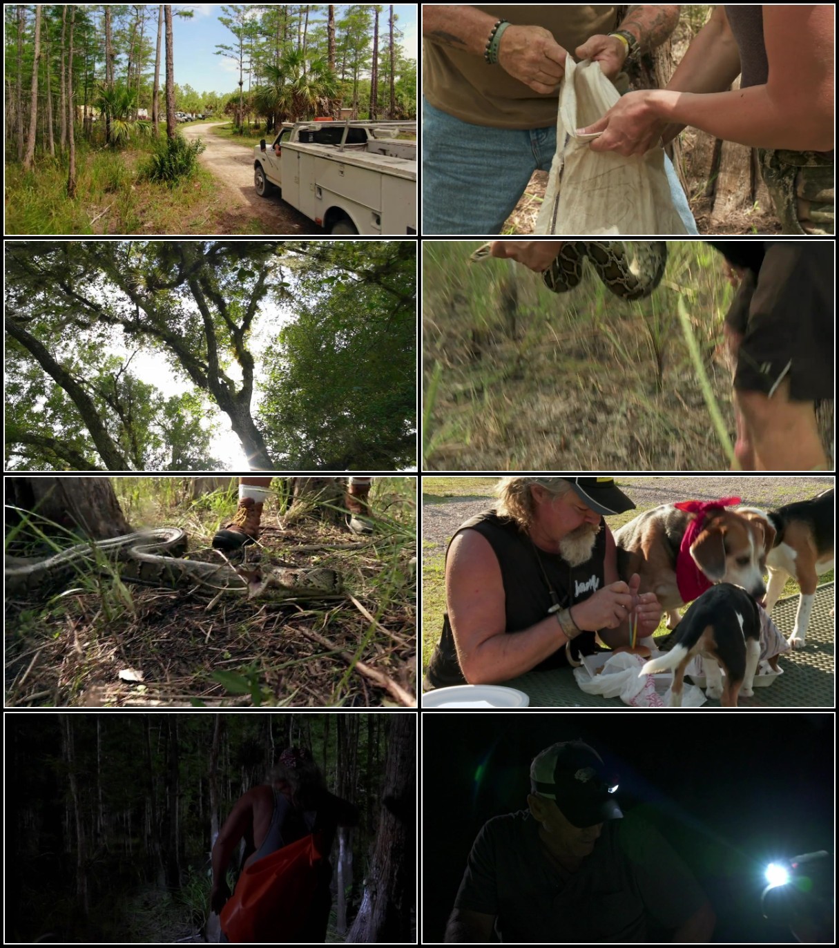 Swamp People Serpent Invasion S03E13 720p WEB h264-EDITH Swamp People Serpent Invasion S03E13 720p WEB h264-EDITH