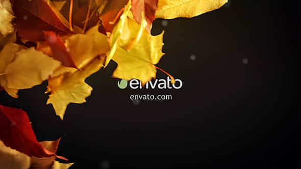 Autumn Logo - VideoHive 18483827
