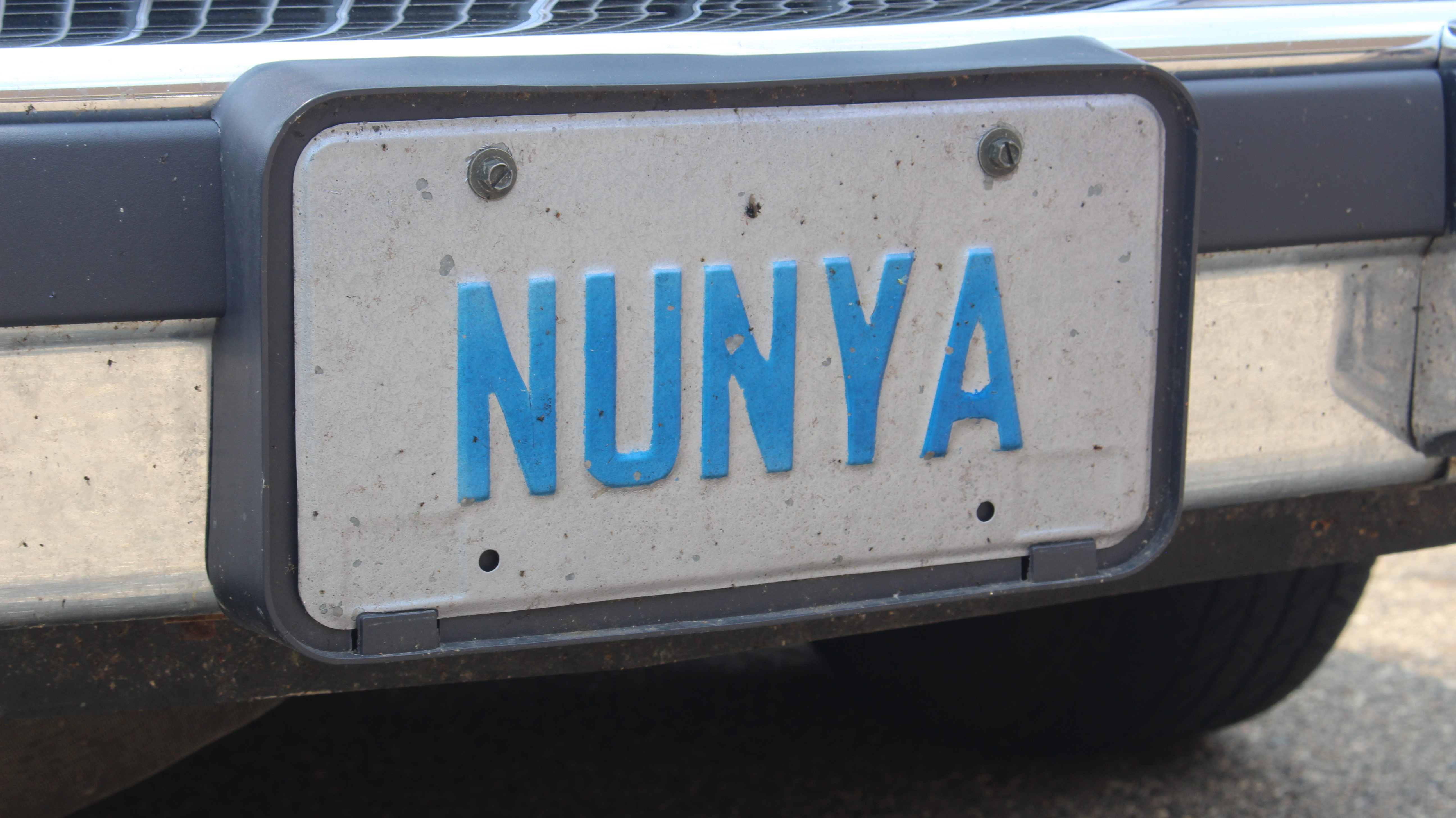 a liscense plate that says 'nunya' in blue letters