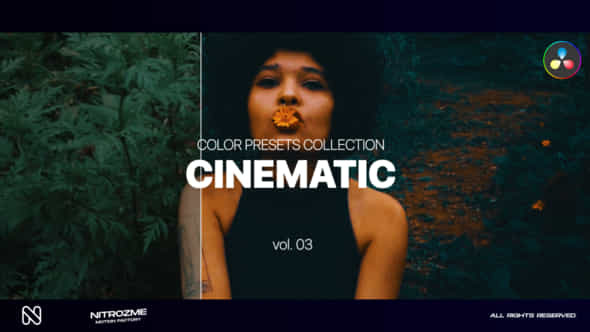 Cinematic LUT Collection - VideoHive 45549408