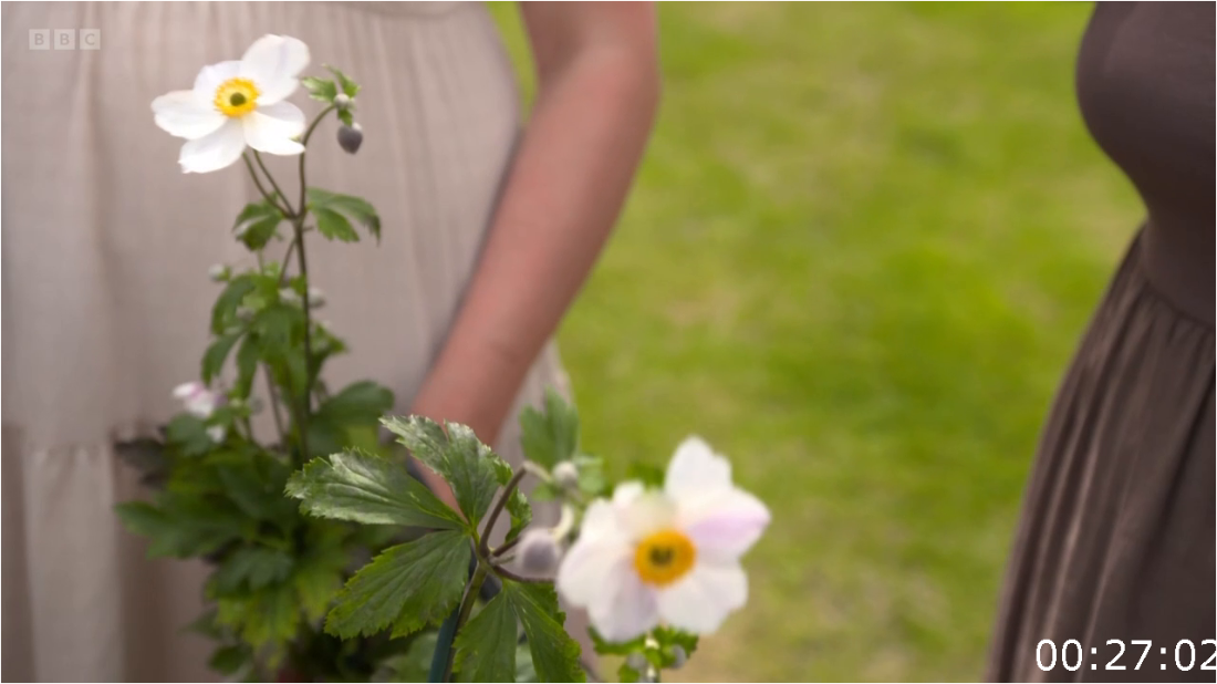 Gardeners' World S57E17 (2024) [720p] RtETEoEq_o