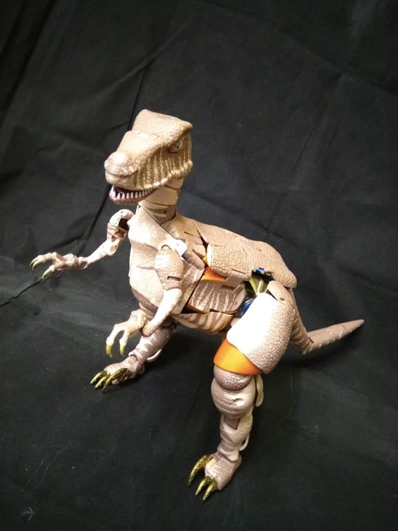 [Masterpiece] MP-41 Dinobot (Beast Wars) - Page 2 L5qVpA4K_o