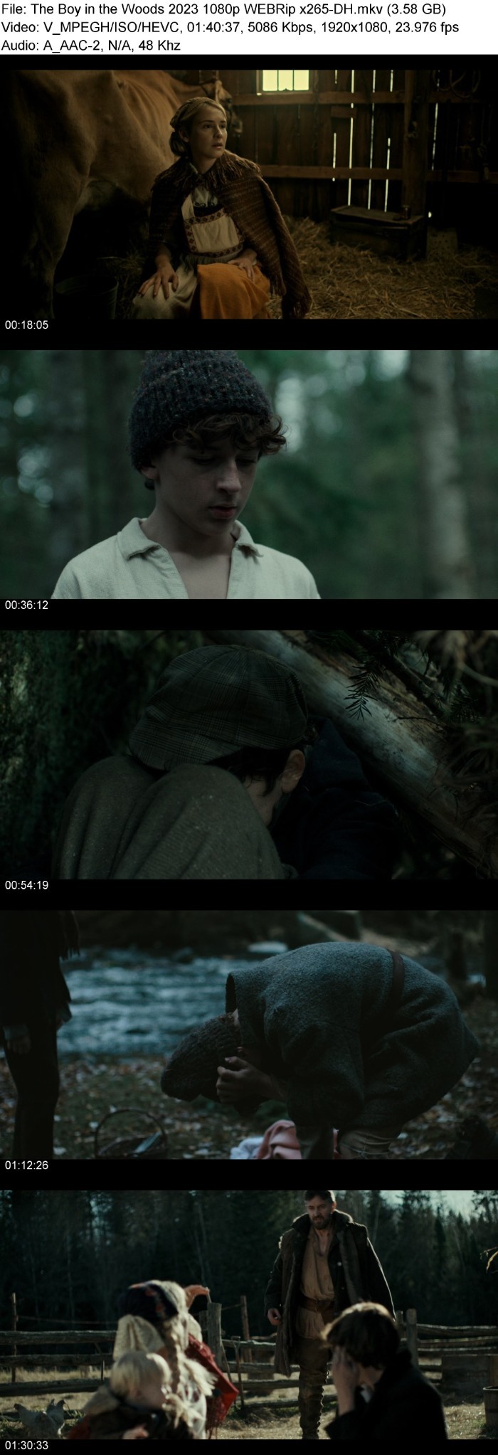 The Boy in the Woods (2023) 1080p WEBRip x265-DH 3e5afVuD_o