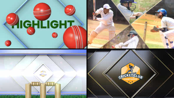 Cricket Bumper - VideoHive 53254098