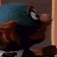 D1QWfokB_o.gif