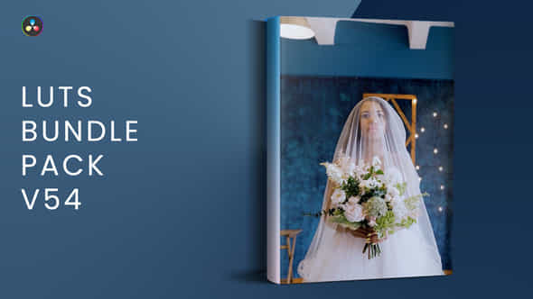 LUTs Bundle Pack - VideoHive 47644682
