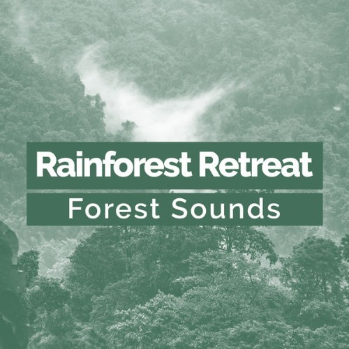 Forest Sounds - Rainforest Retreat - 2019