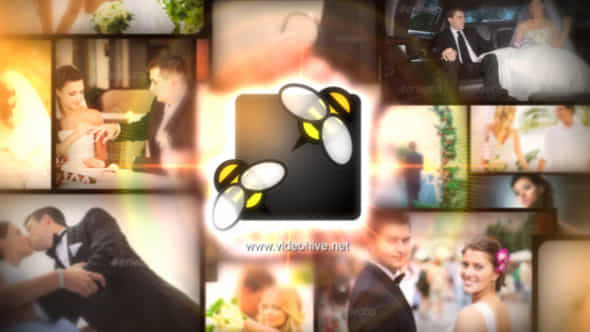 Multi Image Logo - VideoHive 11733731