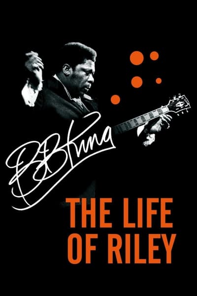 B B King The Life of Riley 2012 HDTV x264-LINKLE