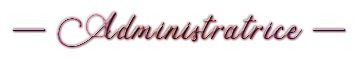 Admin Admin