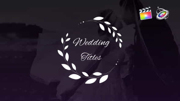 Elegant Colorful Wedding Titles - VideoHive 27035892