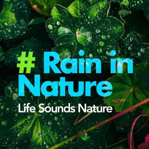 Life Sounds Nature - # Rain in Nature - 2019