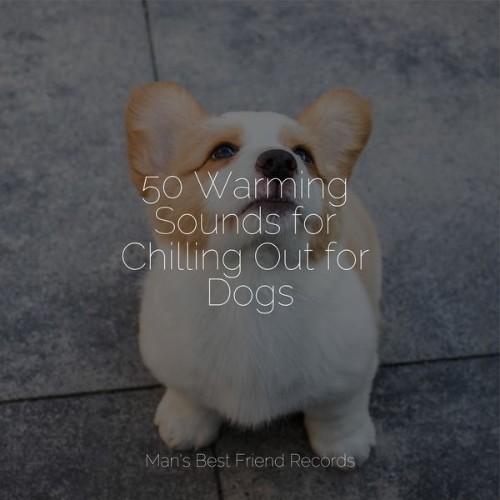 Relaxmydog - 50 Warming Sounds for Chilling Out for Dogs - 2022