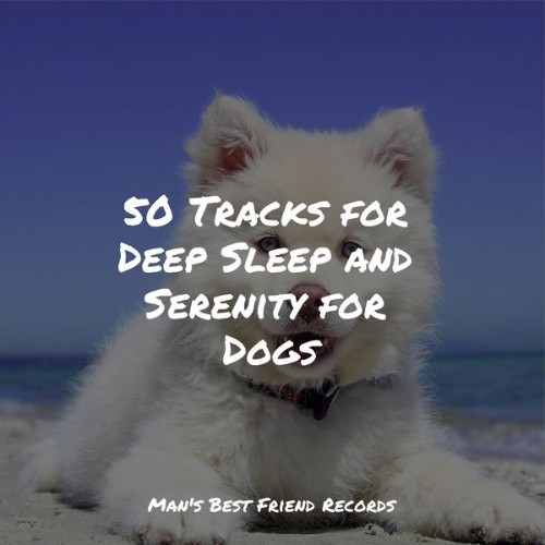 Jazz Music for Dogs - 50 Tracks for Deep Sleep and Serenity for Dogs - 2022