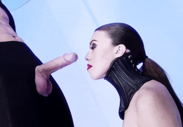 Gifs al azar