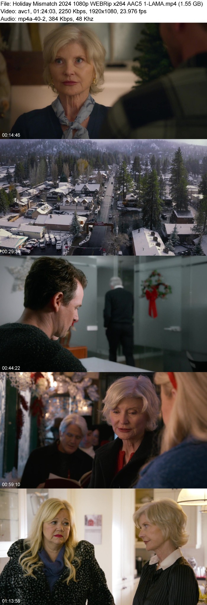 Holiday Mismatch (2024) 1080p WEBRip 5 1-LAMA HL67SoSS_o