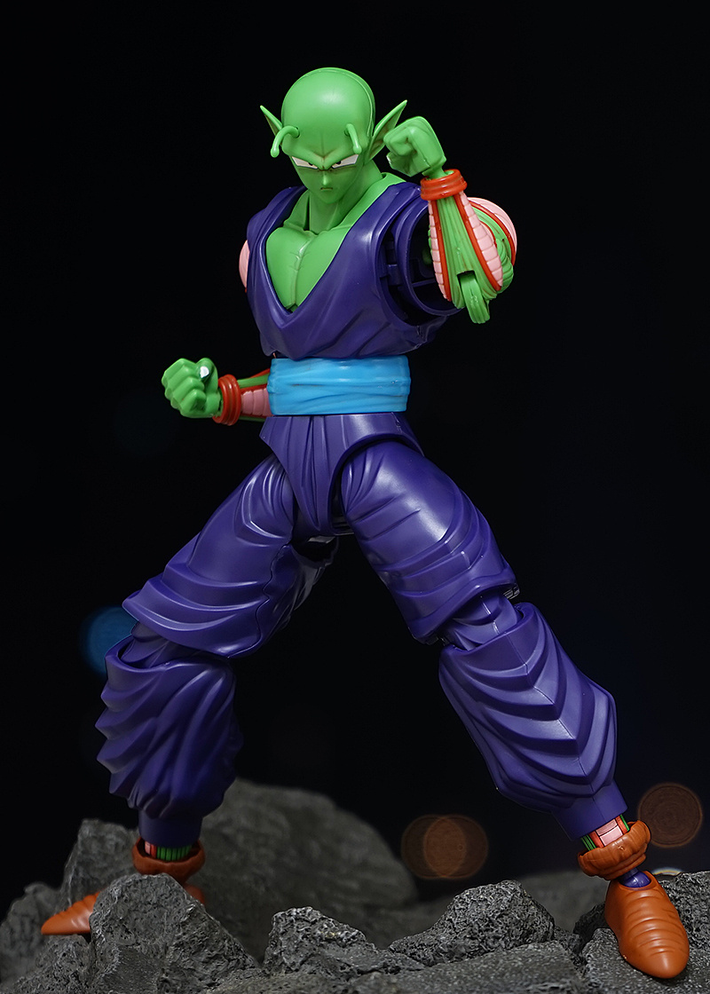 Dragon Ball Z : Figure-Rise Standard (Bandai) - Page 11 APblyhgD_o